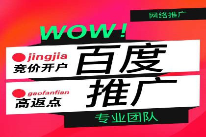 成功SEM托管案例解析