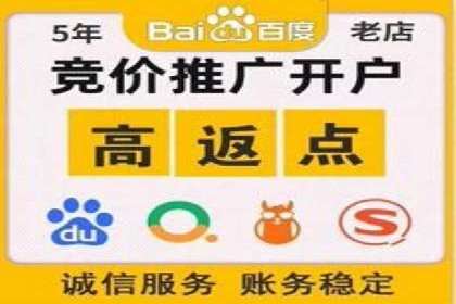 百度竞价代理的运营策略与成功案例分析